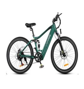 36V 750W 112KM range mountain electric bike #YL250H