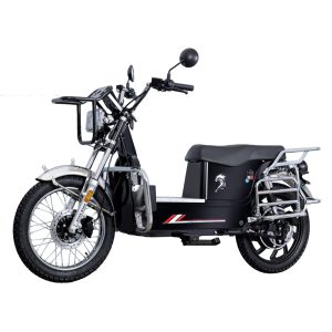 2000W super strong power 300KM Super long range electric motorcycle #A5L
