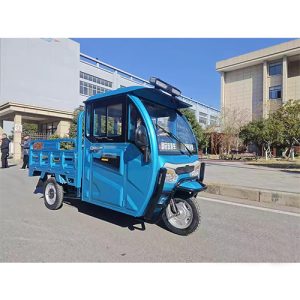 Cargo tricycle with enclosed driving room # YC100