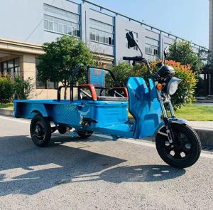 Cargo tricycle #YC65